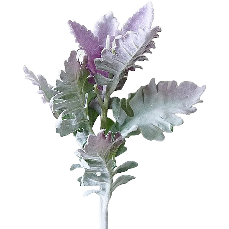 The Seasonal Aisle Chrysanthemum Leaf Arrangement | Wayfair.co.uk